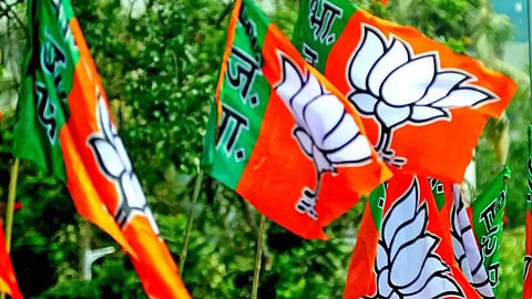 BJP Politics News 