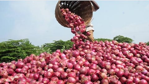 Onion Farmers