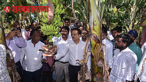 Minister Girish Mahajan Visit Affected Farm News