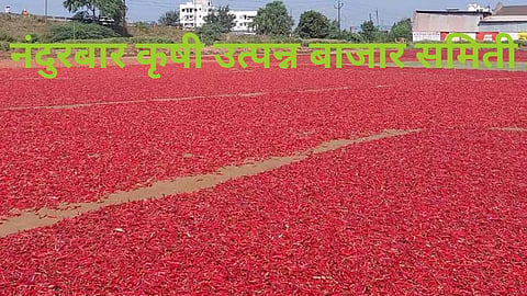 Nadurbar BAzar Samiti