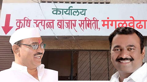 Mangalveda Bazar Committee Election