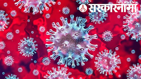 Corona Virus