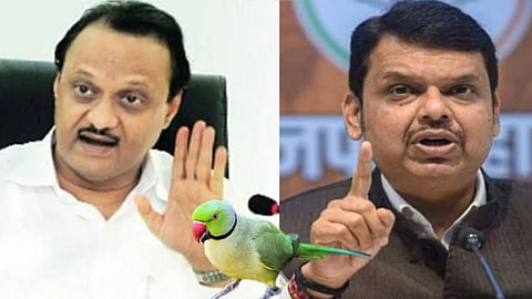 Maharashtra Politics  NEWS 