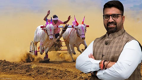 Bullock Cart Race : Mahesh Landge