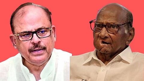 Tariq Anwar, Sharad Pawar