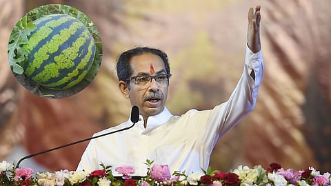 Uddhav Thackeray News : 