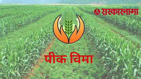 Crops Insurance Politics :