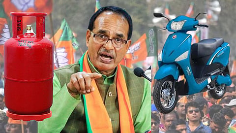MP Election 