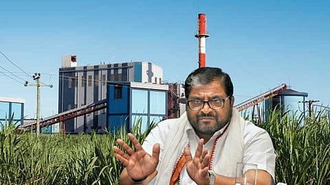  Sugar Factory Politics :