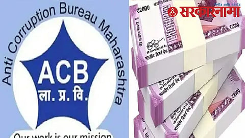 ACB Actin News :
