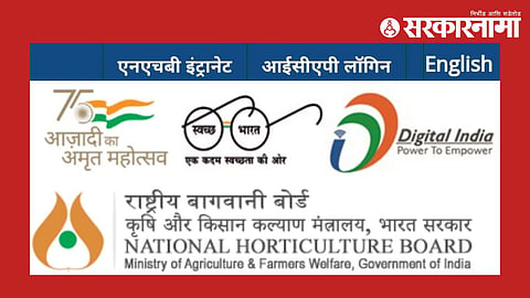 Government Job