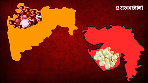 Maharashtra Onion, Gujarat Onion