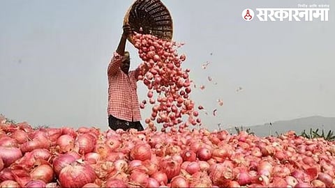 Onion 