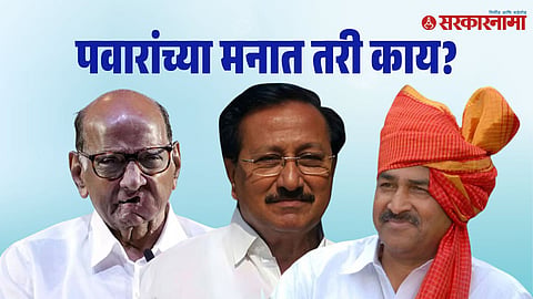 Sharad Pawar- Vijayshinh mohite Patil-Babanrao Shinde 