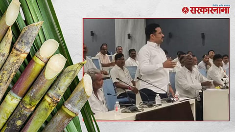 Sugarcane FRP 