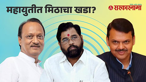 Mahayuti Politics