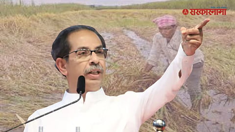 Uddhav Thackeray Visit Marathwada and Meet Affected Farmers News