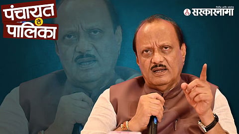 NCP Politics
