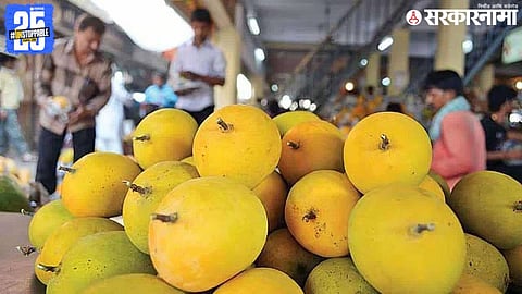Konkan Hapus