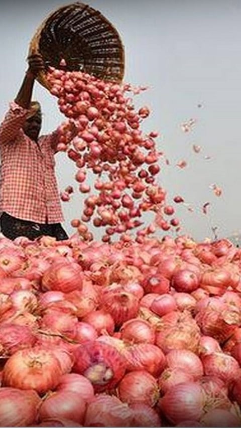 Onion 