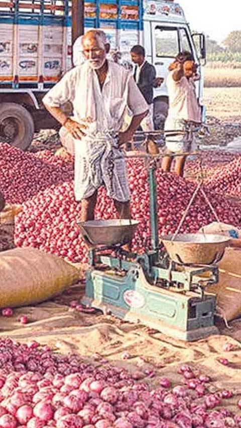 बाजार समितीत कांद्याचे लिलाव कसे होतात? प्रक्रिया काय असते? 
