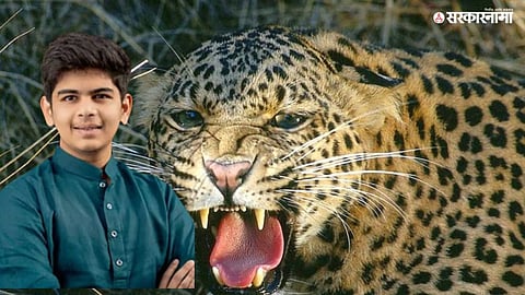 Adhiraj Patil Undalkar injured after a leopard attack, raising concerns over wildlife safety in Maharashtra.