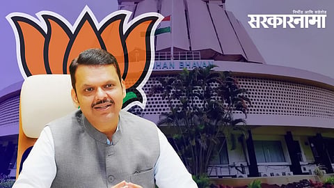 MLC Election 2026