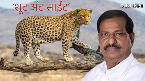 Ganesh Naik on Leopard shoot at sight News