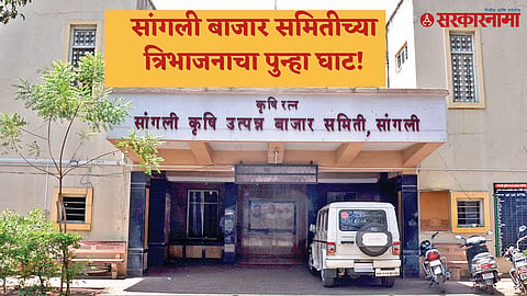  Sangli APMC Trifurcation