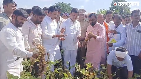 Hingoli Drought Inspection News;  Maharashtra Agriculture Minister Dattatray Bharne
