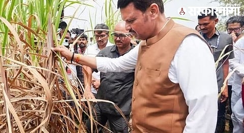 Devendra Fadnavis assured blanket relief for drought-hit farmers in Marathwada
