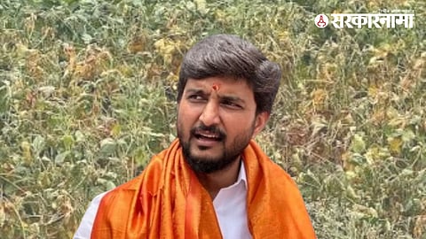 Vivek Kolhe