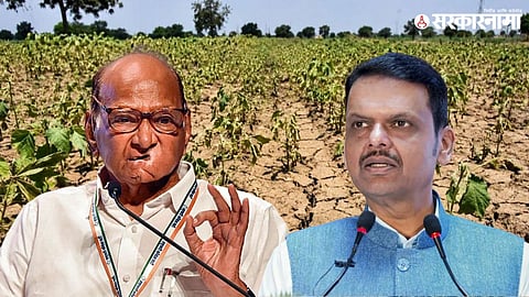 Dharad Pawar, Devendra Fadnavis