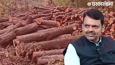 Karjat Tree Cutting Controversy; CM Devendra Fadnavis