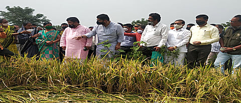 BJP Leader Pravin Darekar Visited Affected Farms In Jawoli taluka  With MLA Shivendraraje Bhosale