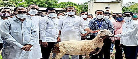 Start a residential training center for sheep and goats in Dahiwadi says Minister Sunil kedar