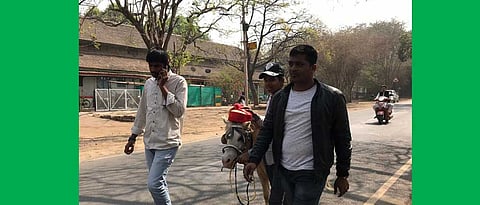 पुणे विद्यापीठाच्या पदवीप्रदान समारंभात घोड्याला पुणेरी पगडी घालून आंदोलन 