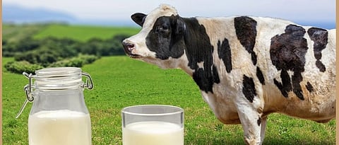 Milk.jpg