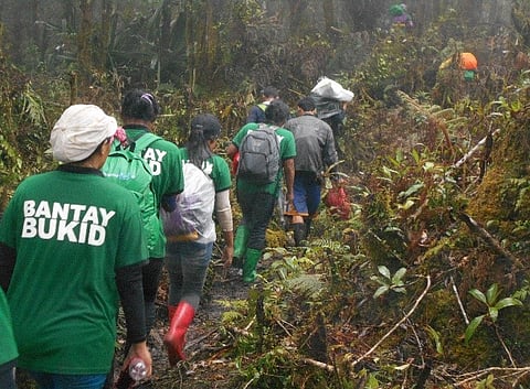 Empowering volunteers vs illegal activities 