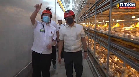 President Ferdinand "Bongbong" Marcos Jr. on Thursday morning, October 12, 2023 leads the inauguration of the world-class, controlled-climate Magnolia Poultry Farm in Hagonoy, Davao del Sur. 