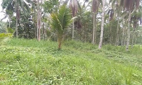 DSHUD-Davao rues continuous 
selling of raw lots on social media
