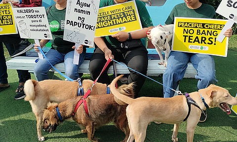 NO TO FIRECRACKERS. The Philippine Animal Welfare Society (PAWS) and the EcoWaste Coalition urge the general public to refrain from lighting firecrackers and other devices to protect animals such as cats and dogs from loud bangs and flashes of lights, which can cause immense anxiety, fear and stress for our furry companions.