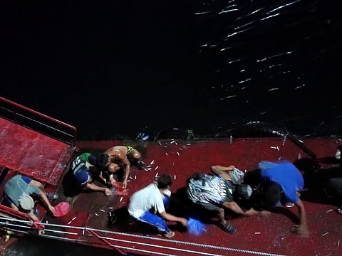 Sardines surge in Davao