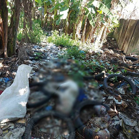 Mandaue police investigates gruesome killing of stray dog