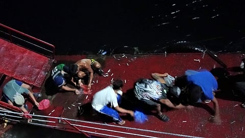 Beaching of sardines not new in Davao