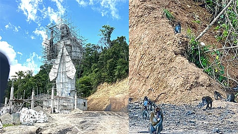 Divine Mercy project site in Sirao becomes a ‘sanctuary’ for monkeys