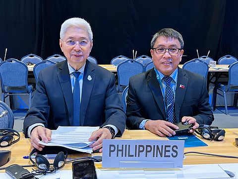 DTI Secretary Fred Pascual and DTI Undersecretary for International Trade Allan Gepty attend the 13th World Trade Organization (WTO) Ministerial Conference (MC13) in Abu Dhabi, United Arab Emirates.