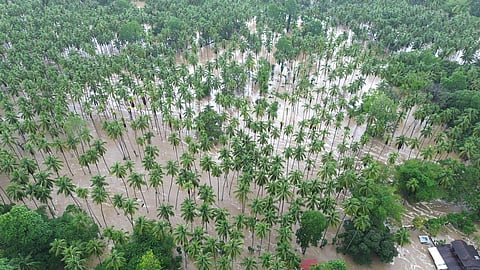 P290-M agri damages due to flooding, landslides