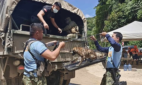The Davao de Oro Provincial Veterinary Office (PVO) and other responders rescued 23 dogs and 27 cats from the landslide-hit village of Masara and neighboring Mainit in Maco on Friday, February 16.