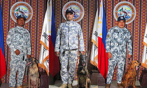 AS THE search and retrieval operation continues on the eighth day of the Masara landslide tragedy, the Philippine Coast Guard (PCG) has deployed three more sniffing humanitarian K-9 dogs to help the first working dog responder, Appa.